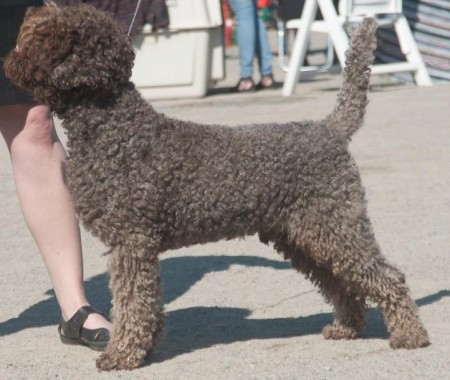 Rowntree Enrico Botti Sommaren 2013